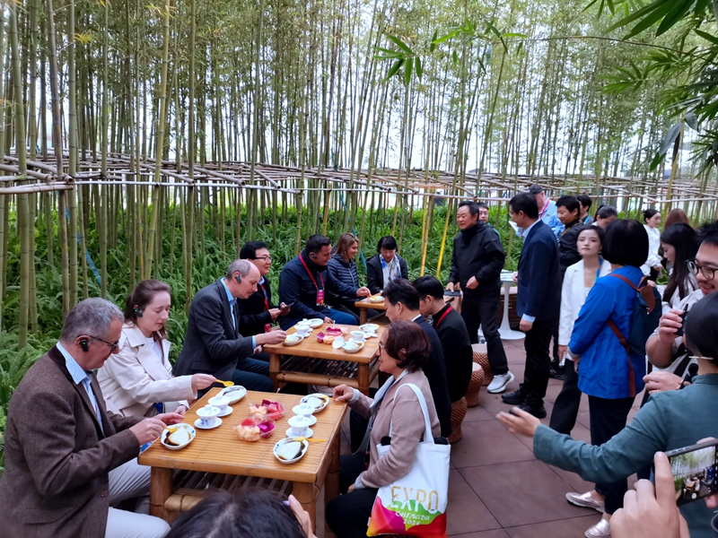 沉浸試體驗(yàn)，國(guó)際園藝生產(chǎn)者協(xié)會(huì)到宜賓展園評(píng)比打分 (4).jpg