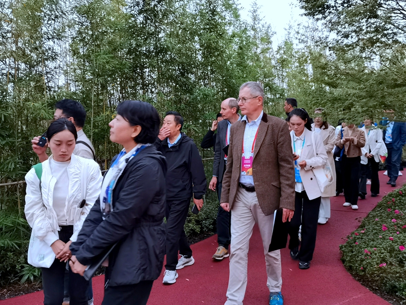沉浸試體驗(yàn)，國(guó)際園藝生產(chǎn)者協(xié)會(huì)到宜賓展園評(píng)比打分 (1).jpg