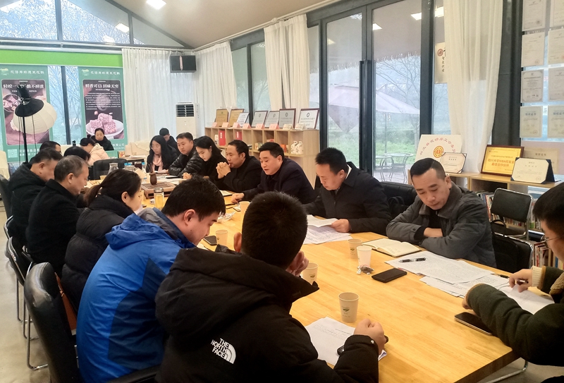 宜賓市農(nóng)業(yè)農(nóng)村局領導深入興文縣調(diào)研2024年高標準農(nóng)田建設 (1).jpg