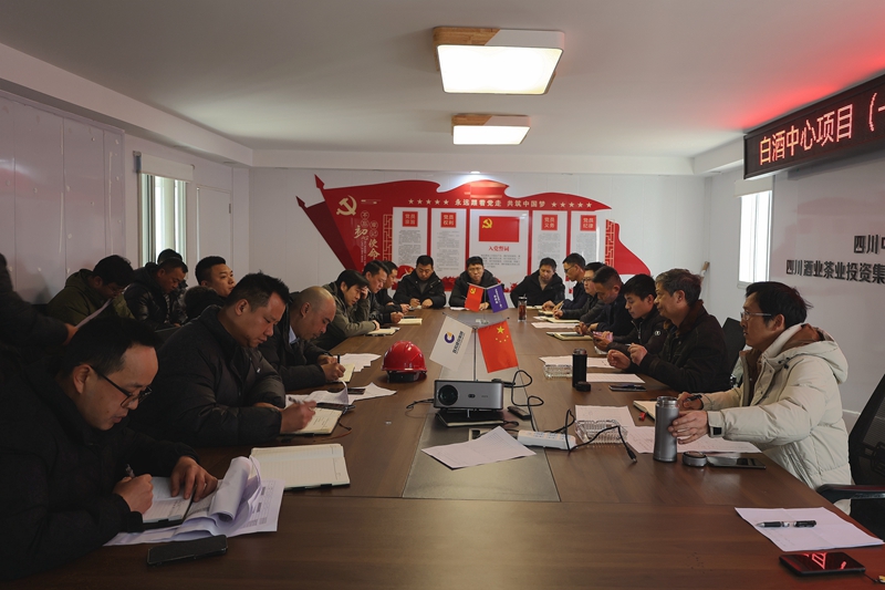 建投建工到白酒中心（一期）項目開展節(jié)后復(fù)工復(fù)產(chǎn)工作督查 (3).JPG